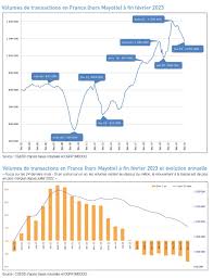 bilan immobilier