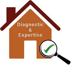 expert diagnostic