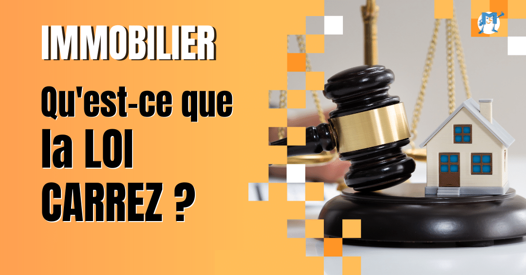 loi carrez immobilier