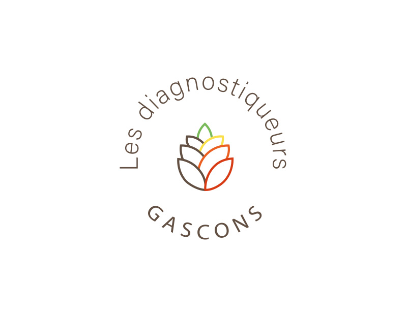 prix diagnostic maison